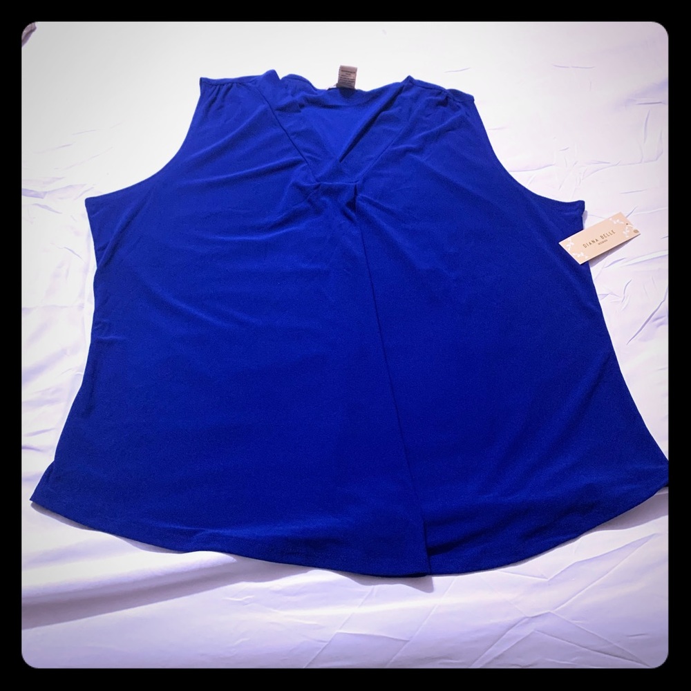 Women’s Plus Size Sleeveless V Neck Swing Top Blue
